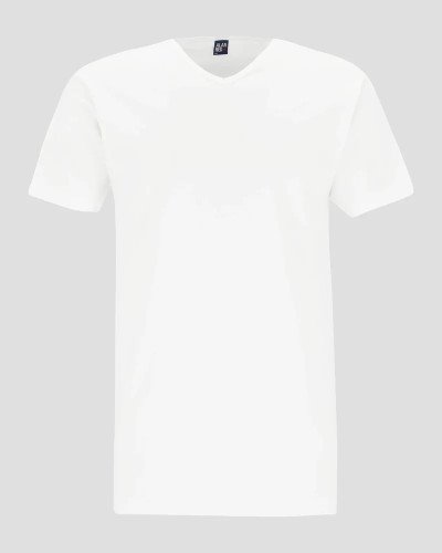 Men's white Vermont V-neck T-shirt by Alan Red