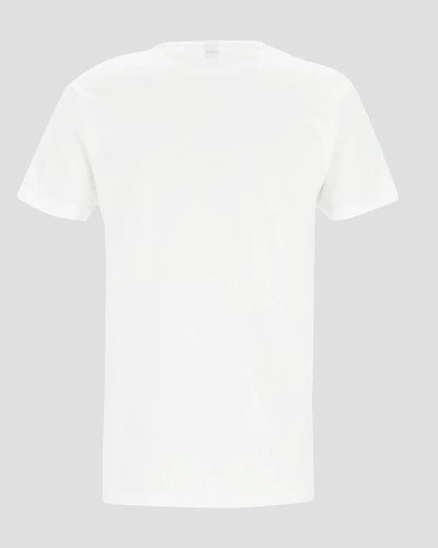 Men's white Vermont T-shirt by Alan Red, back view