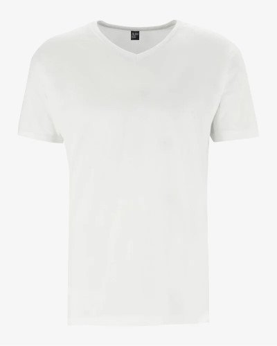 Men's white West Virginia V-neck T-shirt by Alan Red, front view