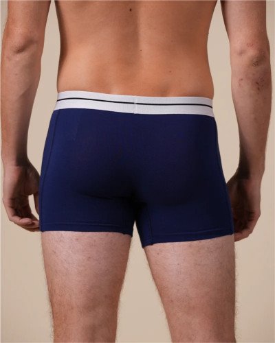 Back view of the Alan Red Lasting men's ultramarine boxer briefs