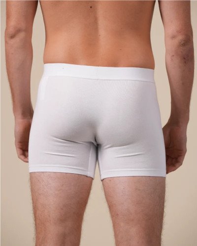 Full-length model wearing the Alan Red Bomber men's navy boxer briefs