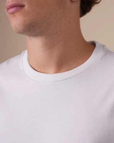 Crew-neck detail of the Alan Red Vanice white men's T-shirt