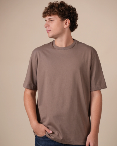 Alan Red Venice men's taupe short-sleeve crew-neck T-shirt, front product view on white background.
